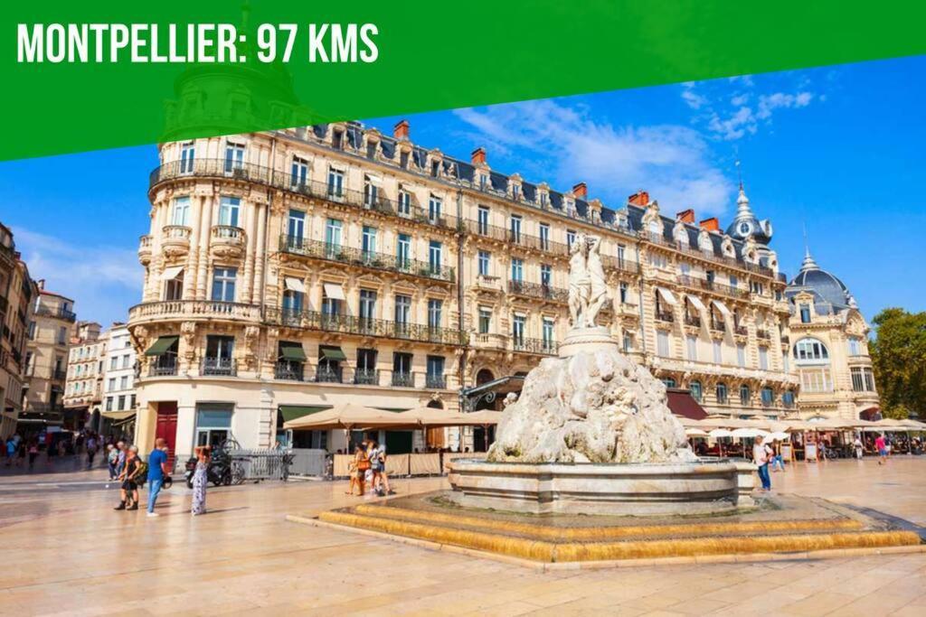 Le Pi-Gnotte - Wi-Fi - Centre Ville أفينيون المظهر الخارجي الصورة